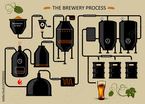 Diagram of the process of brewing beer. Detailed illustration.