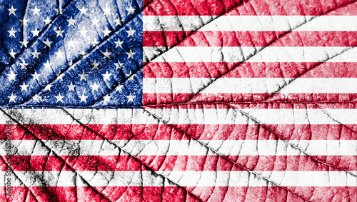 United states flag. Leaf texture.