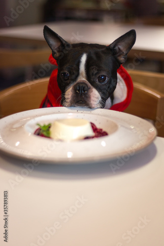 Boston and food