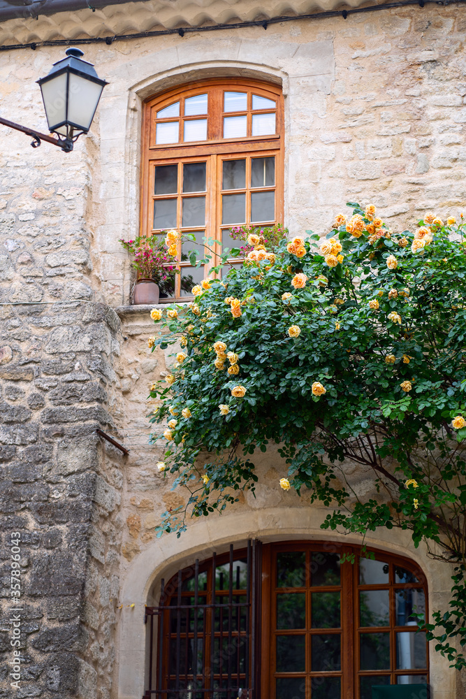 Façade d'une maison en Provence, France, un rosier avec des fleurs jaunes au printemps.