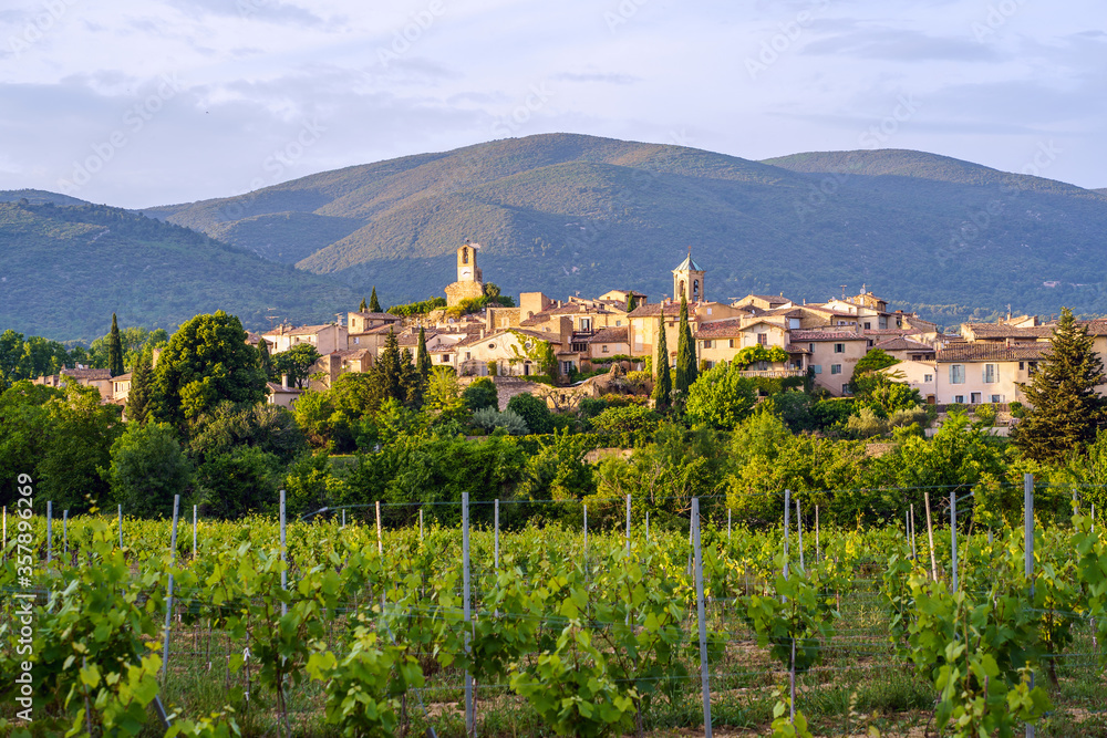 Vue panoramique sur le village Lourmarin, massif du Luberon en arrière plan. Des vignes au printemps. France.