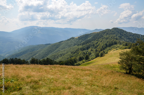 Picturesque summer landscape in Carpathian mountains. Lush green forest and cloudy sky. Travel background concept © Dmytro
