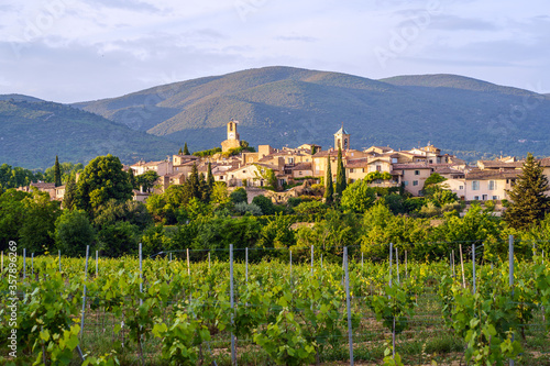 Vue panoramique sur le village Lourmarin, massif du Luberon en arrière plan. Des vignes au printemps. France. 