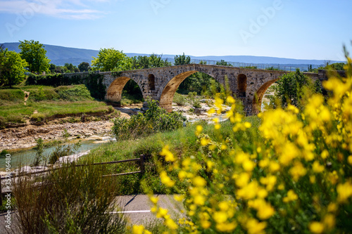 Obraz na płótnie Ancien pont romain en Provence - Pont Julien. Rivière Calavon. Printemps, fleurs de genêt au premier plan. France, Luberon. w salonie