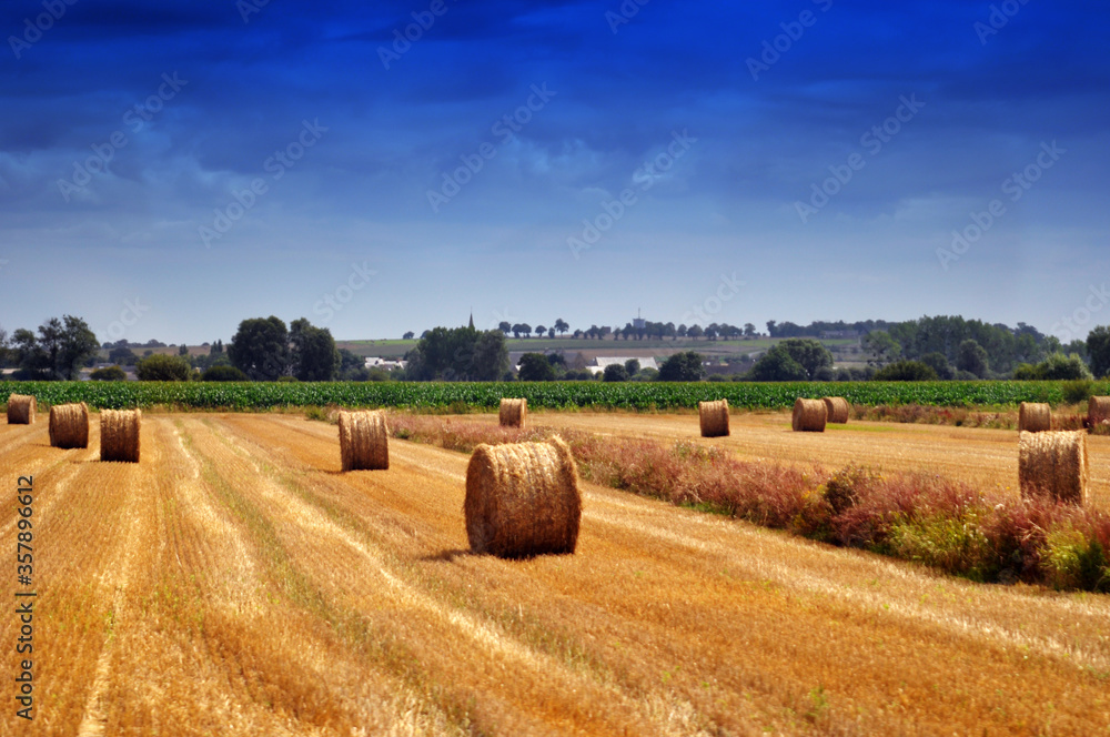 hay bales in the field, Normandy France
