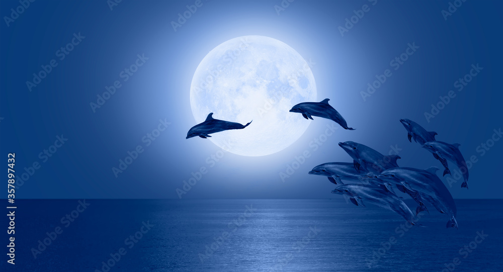 Silhoutte of dolphins jumping up from the sea with blue full moon 