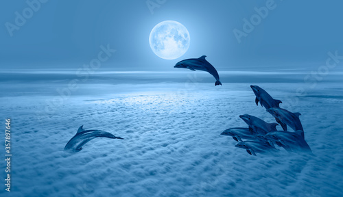 Silhoutte of dolphins jumping up from the sea with blue full moon  Elements of this image furnished by NASA  