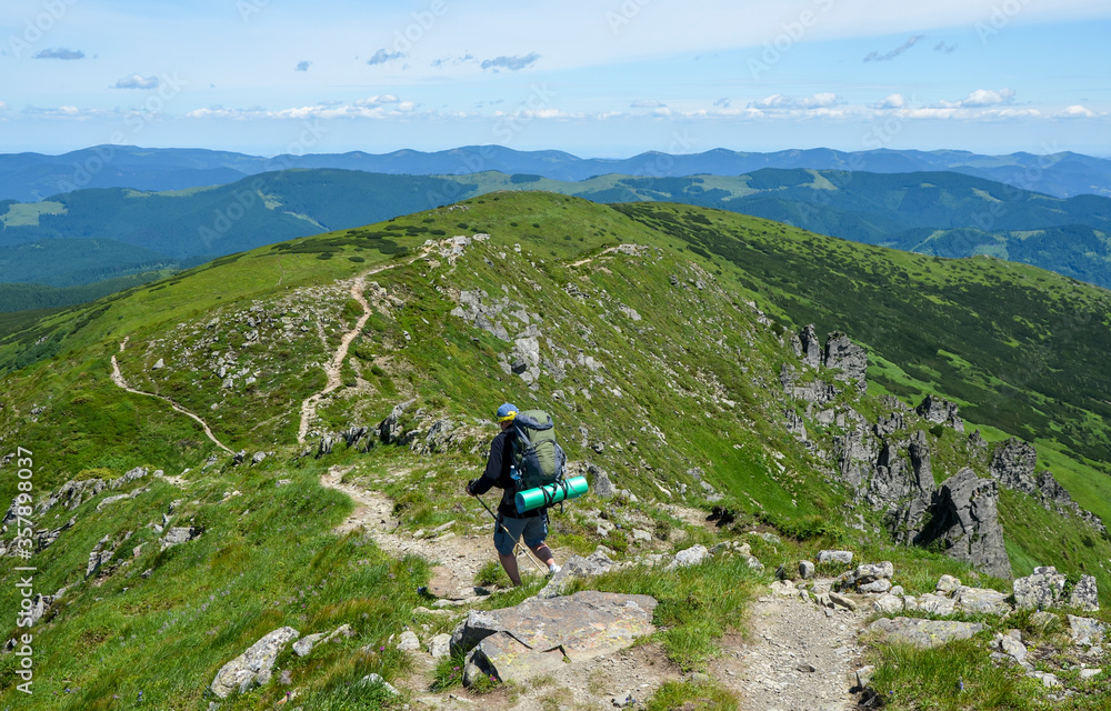 Hiker with backpack walking along green hills on Chornohora mountain range. Carpathian mountains, Ukraine. Trekking, travel and tourism concept.