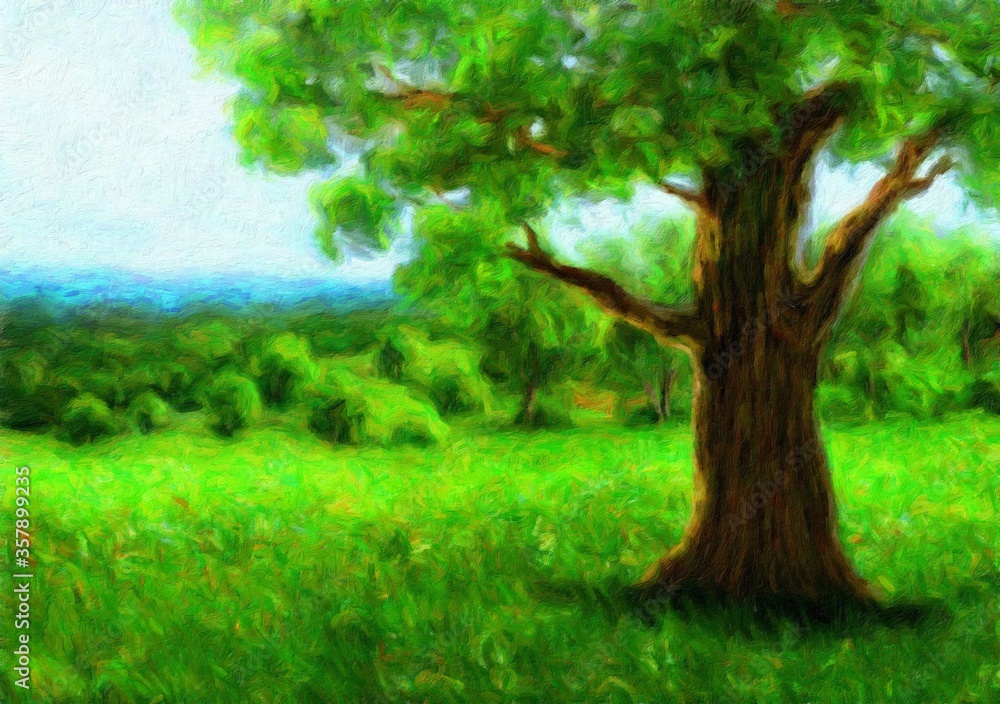 Oil paintings landscape, green tree in the forest Oil paintings landscape, green tree in the forest