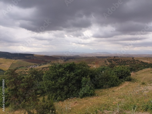A large and beautiful forest in Algeria, Tiaret