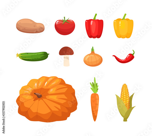 Different autumnal vegetables semi flat RGB color vector illustration set. Ripe pumpkin. Fresh peppers. Crop of potato. Farmer market products isolated cartoon object pack on white background