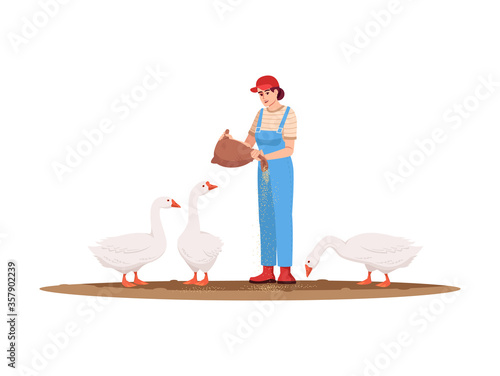 Poultry pasture semi flat RGB color vector illustration. Local production of domestic bird. Woman feeding geese. American farm. Female farmer isolated cartoon character on white background