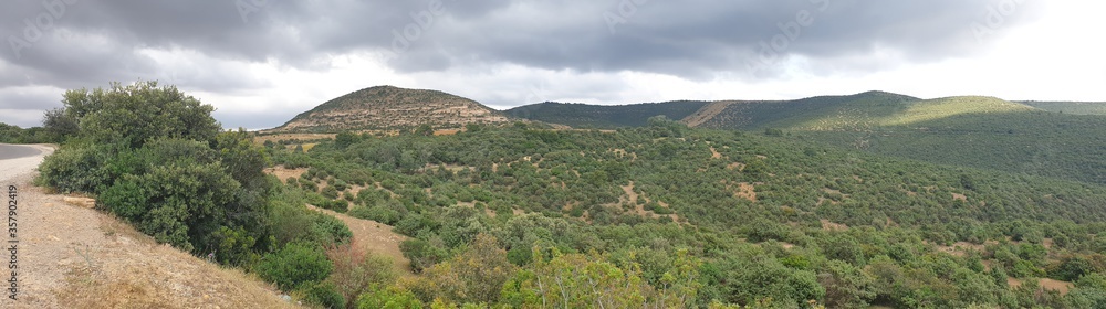 A large and beautiful forest in Algeria, Tiaret