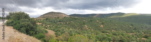 A large and beautiful forest in Algeria, Tiaret