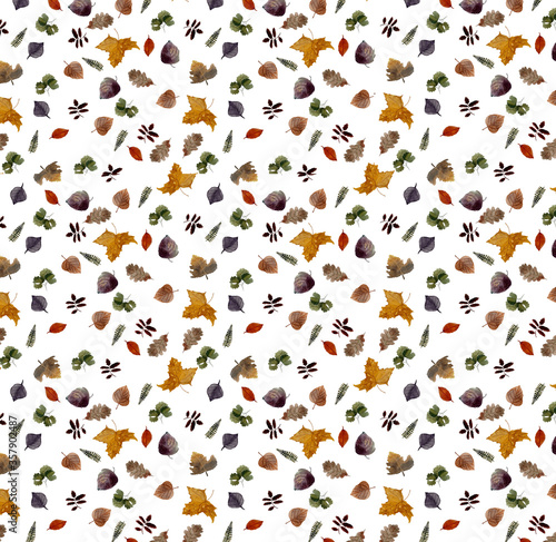 watercolor seamless pattern of autumn leaves