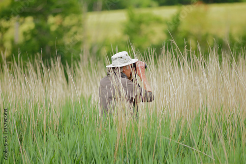 фотографія Bird watcher observing wildlife from reed grass