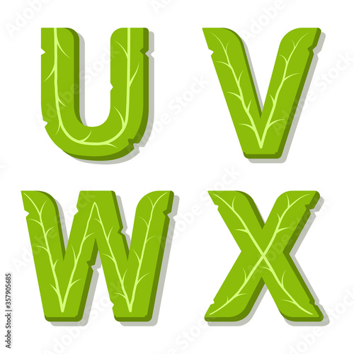 Vector green eco alphabet. Perfectly suited for healthy restaurants and green brands, like vegan places, cooking website, veggie recipes blog. Font for t-shirts and cards. Isolated illustration.