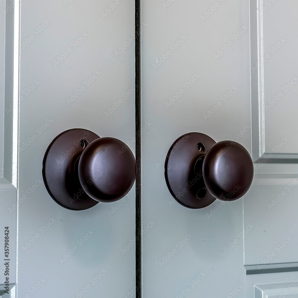 Square Matte black round door knobs of a double door with paneling