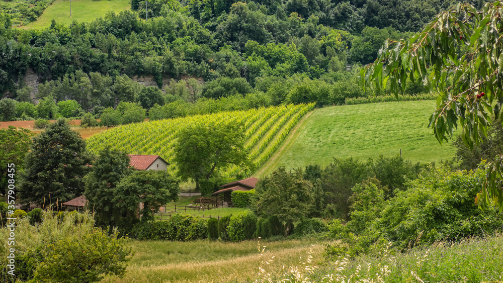 Gospodarstwo winne położone w malej miejscowości Galeata w rejonie Emilia Romagna Włochy. 