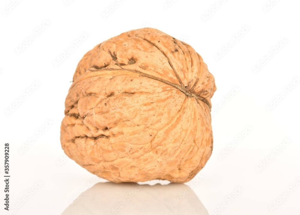 Ripe tasty, organic walnut, close-up, on a white background. Ripe tasty, organic walnut, close-up, on a white background.