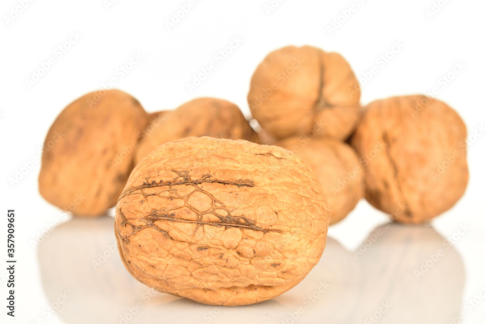 Ripe tasty, organic walnut, close-up, on a white background. Ripe tasty, organic walnut, close-up, on a white background.