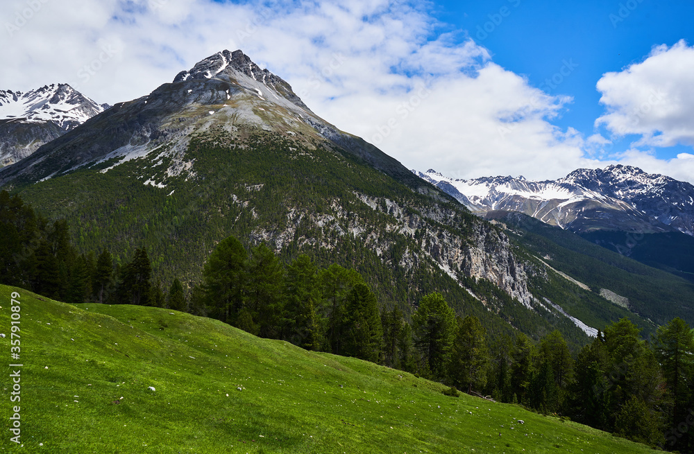Switzerland Alps Mountain National Park Ofenpass