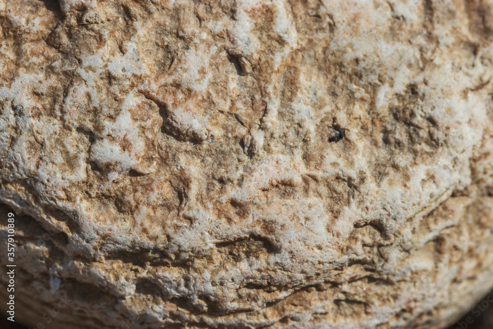A stone with a beautiful rough brown texture. Natural textures in natural sunlight. A stone with a beautiful rough brown texture. Natural textures in natural sunlight.