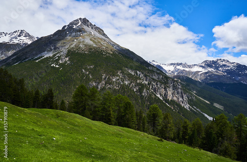 Switzerland Alps Mountain National Park Ofenpass