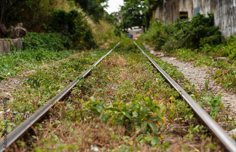 railway in the forest