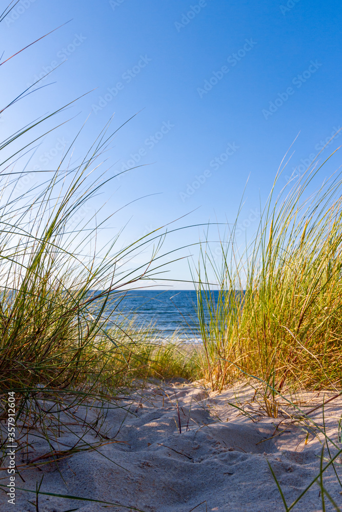 Dünengras weht im Wind, an der Ostsee Dünengras weht im Wind, an der Ostsee