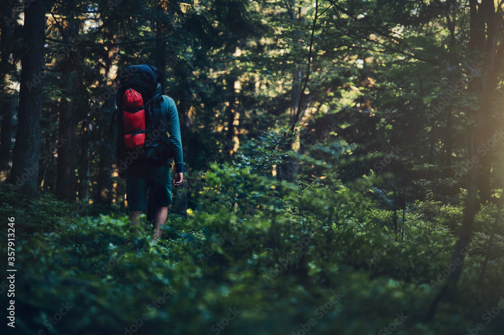 A man is walking through the forest with a backpack. 
Trekking tour in nature. Copy space