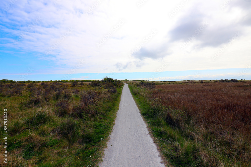 Cycle path through natural fields of the Dutch Wadden Island