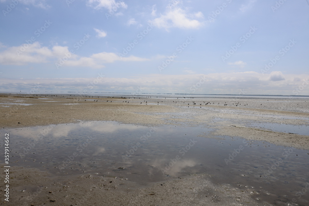 Beautiful panoramic view over the Sea at very low tide with a blue sky.