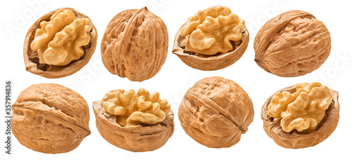 Foto Walnut nuts, shelled and in shell, set isolated on white background
