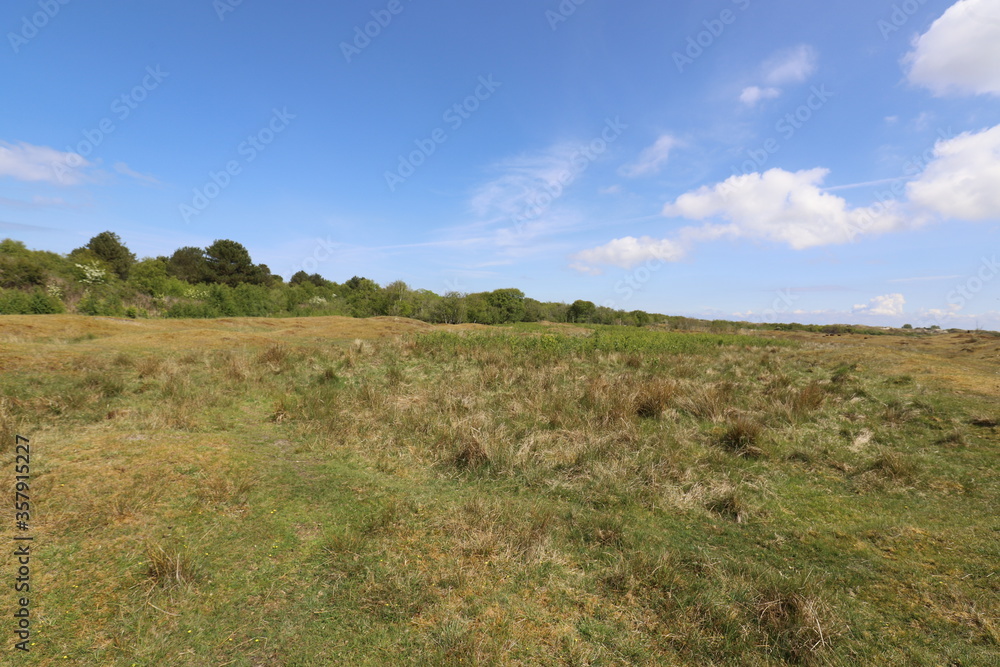 Beautiful panoramic view over a green national park. Photo was taken on a sunny day in May with a blue sky and white clouds.