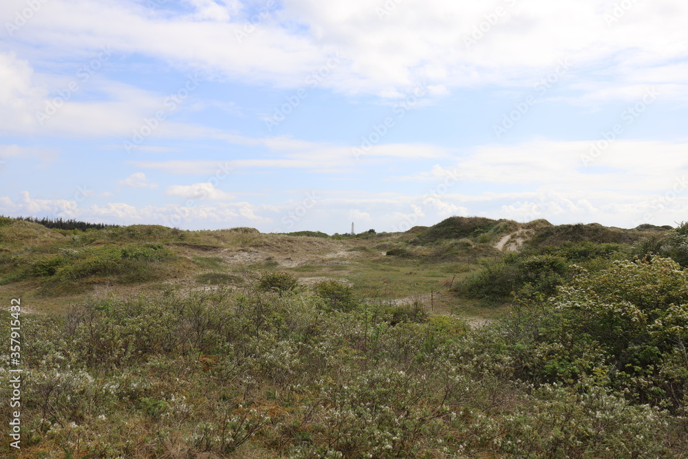 Beautiful panoramic view of an elongated dry salt marsh with pink plants in a Dutch nature reserve. Photo was taken on a sunny day in May.
Beautiful panoramic view of an elongated dry salt marsh with pink plants in a Dutch nature reserve. Photo was taken on a sunny day in May.