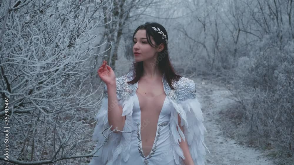 Fairytale beautiful woman in image swan princess, snow queen walks in winter snowy forest. White sexy long dress, medieval cape bird feathers. Smiling face. Hand gently touching hoarfrost branch tree Fairytale beautiful woman in image swan princess, snow queen walks in winter snowy forest. White sexy long dress, medieval cape bird feathers. Smiling face. Hand gently touching hoarfrost branch tree