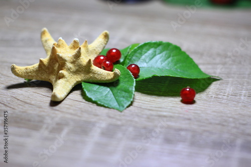Texture with red berries with Starfish