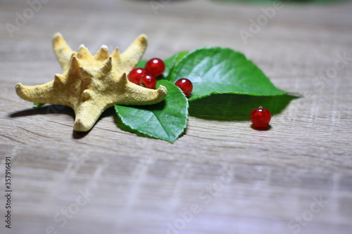 Texture with red berries with Starfish