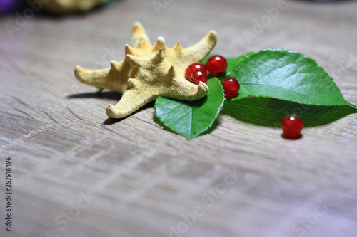 holly leaves and berries