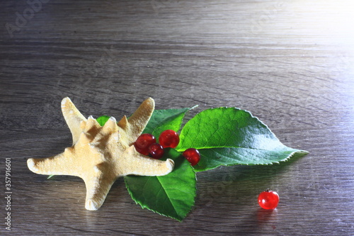 Texture with red berries with Starfish
