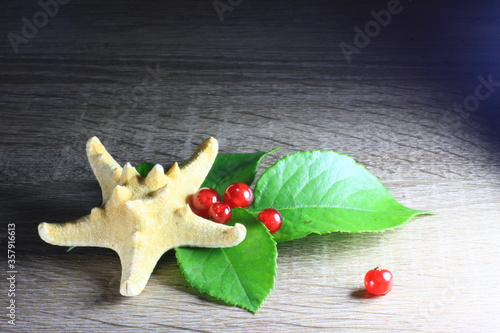 Texture with red berries with Starfish
