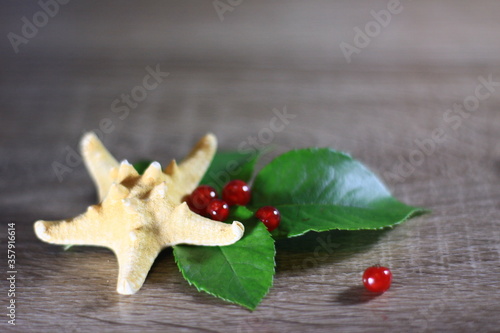 Texture with red berries with Starfish