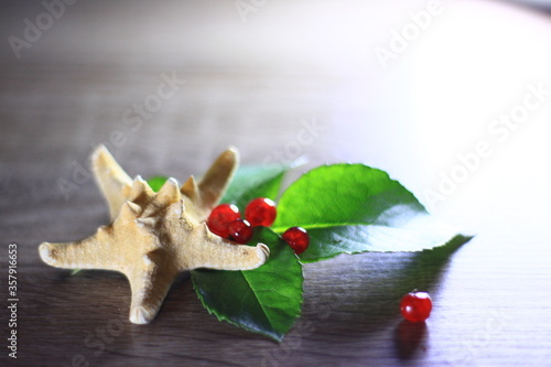 holly berry and berries