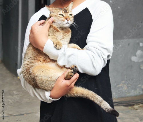 young woman holding cat photo