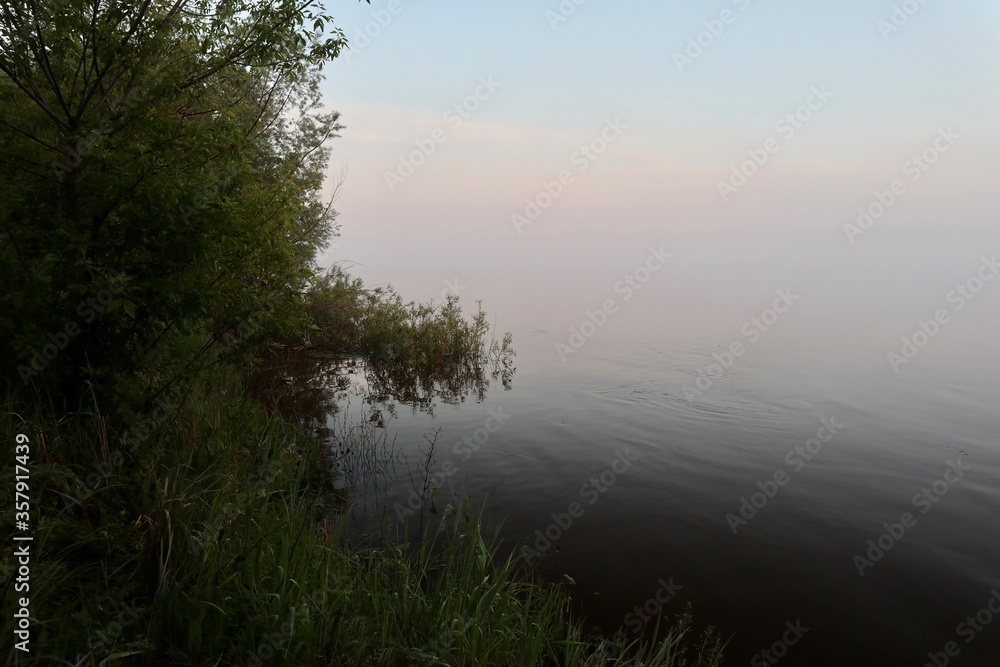 Black outlines of trees and bushes on the river bank in the morning on a background of white fog.