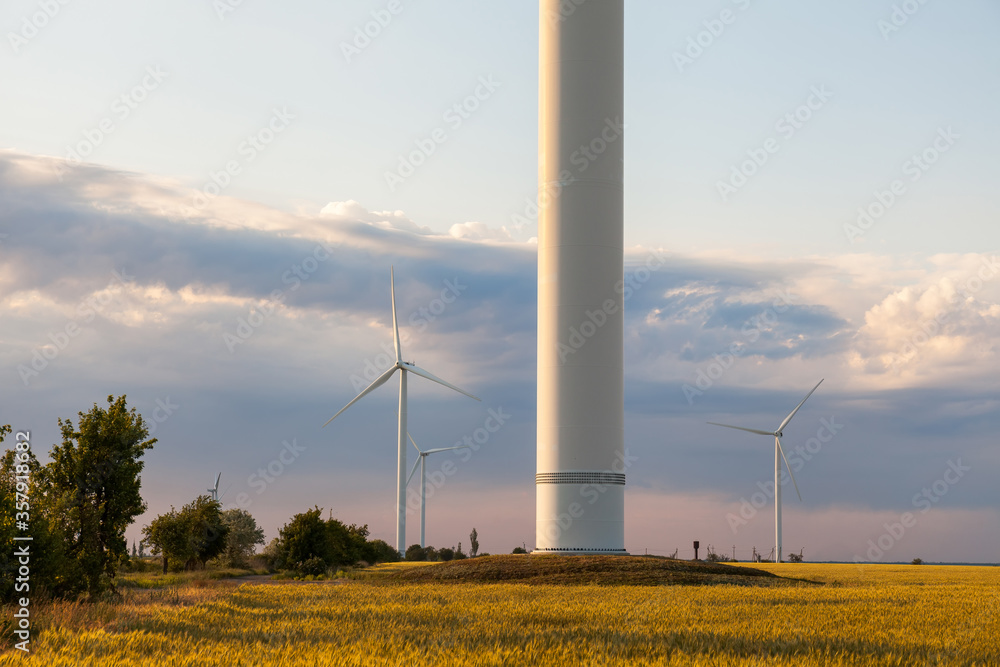 Group of windmills for electric power production in the yellow field of whea Group of windmills for electric power production in the yellow field of whea