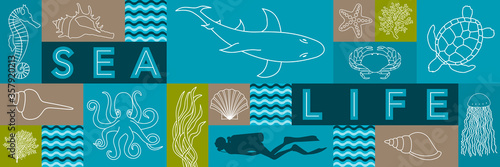 Bannière sur la vie marine avec des illustrations filaire d’animaux, de coquillage, de corail et une silhouette de plongeur.