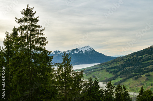 Foto View on Mount Rigi hiding behind the tree