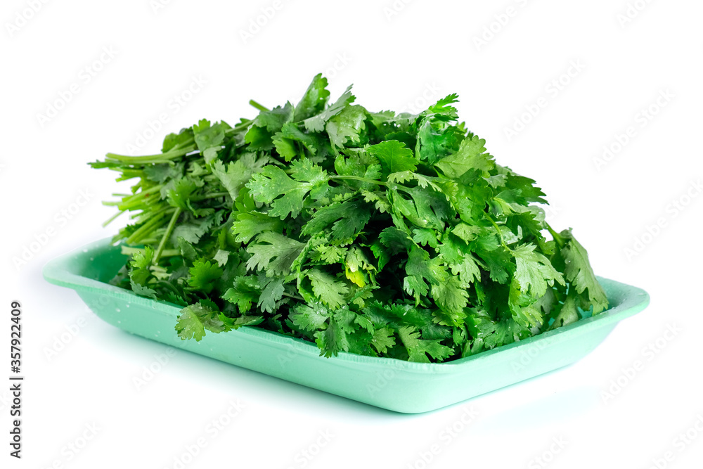 fresh coriander and parsley isolated on white background fresh coriander and parsley isolated on white background